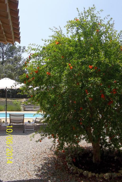 Maprovencale Panzió Les Arcs-sur-Argens Kültér fotó